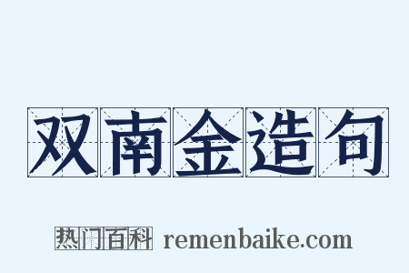 双南金造句是什么意思的图片
